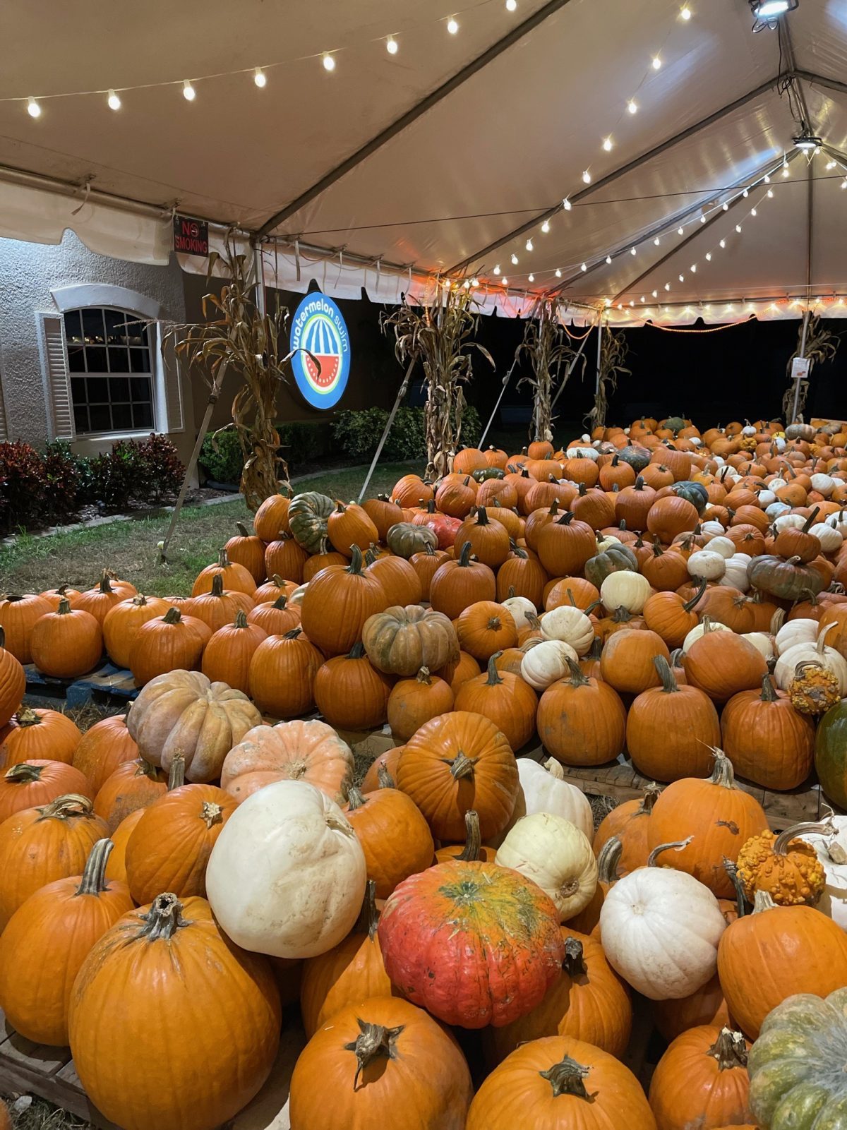 Annual Pumpkin Patch and Fall Festival Watermelon Swim