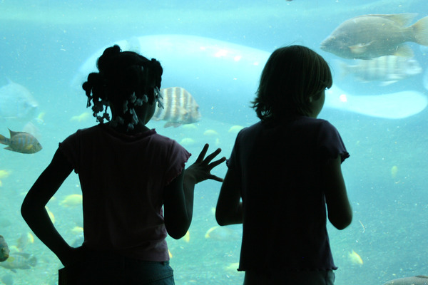 things to do in tampa with kids